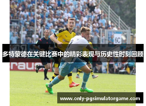 多特蒙德在关键比赛中的精彩表现与历史性时刻回顾