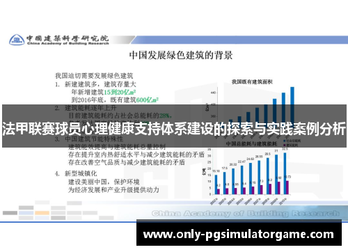 法甲联赛球员心理健康支持体系建设的探索与实践案例分析