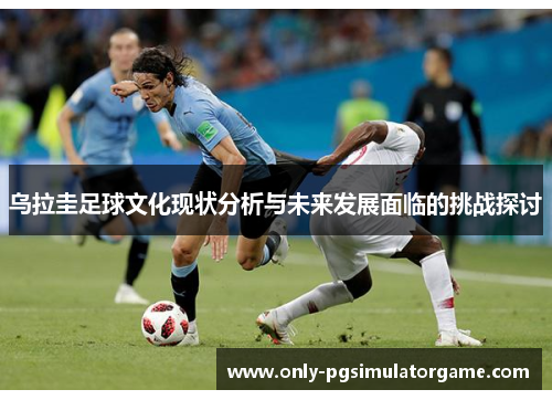 乌拉圭足球文化现状分析与未来发展面临的挑战探讨