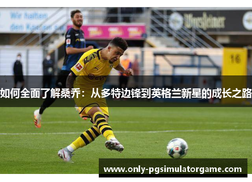 如何全面了解桑乔：从多特边锋到英格兰新星的成长之路