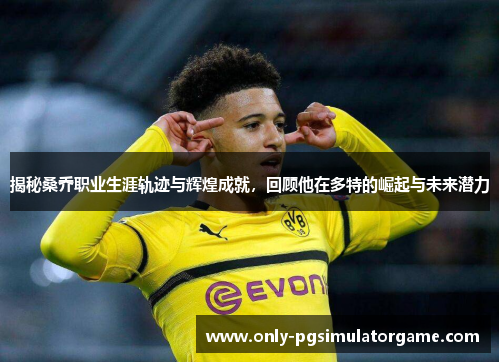 揭秘桑乔职业生涯轨迹与辉煌成就，回顾他在多特的崛起与未来潜力