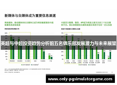 英超与中超投资趋势分析前五名俱乐部发展潜力与未来展望