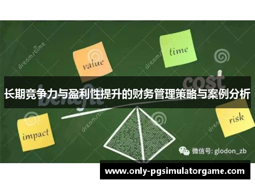 长期竞争力与盈利性提升的财务管理策略与案例分析