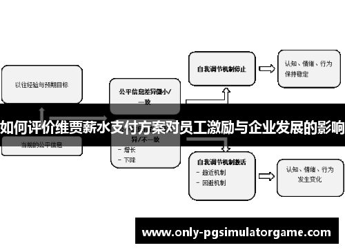 如何评价维贾薪水支付方案对员工激励与企业发展的影响