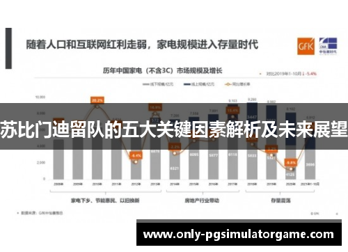 苏比门迪留队的五大关键因素解析及未来展望
