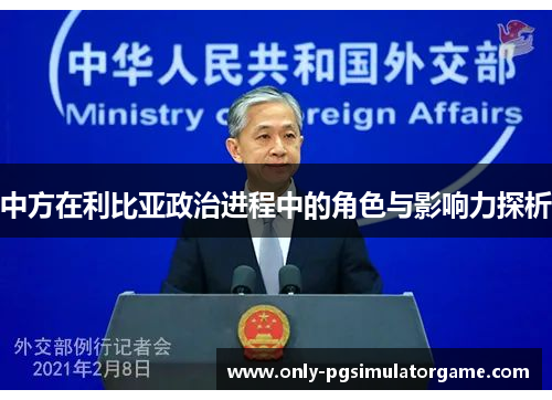 中方在利比亚政治进程中的角色与影响力探析