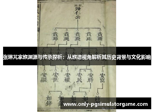 张琳芃家族渊源与传承探析：从族谱视角解析其历史背景与文化影响
