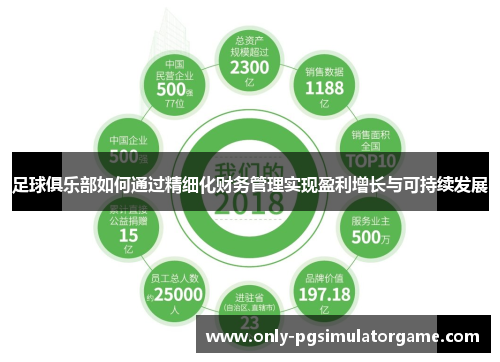 足球俱乐部如何通过精细化财务管理实现盈利增长与可持续发展 足球俱乐部如何通过精细化财务管理实现盈利增长与可持续发展