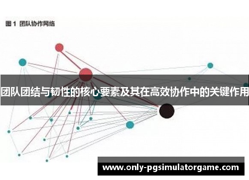 团队团结与韧性的核心要素及其在高效协作中的关键作用 团队团结与韧性的核心要素及其在高效协作中的关键作用