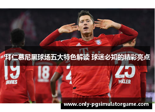拜仁慕尼黑球场五大特色解读 球迷必知的精彩亮点 拜仁慕尼黑球场五大特色解读 球迷必知的精彩亮点