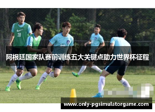 阿根廷国家队赛前训练五大关键点助力世界杯征程