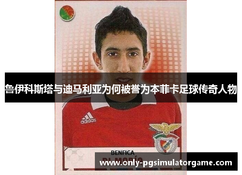 鲁伊科斯塔与迪马利亚为何被誉为本菲卡足球传奇人物 鲁伊科斯塔与迪马利亚为何被誉为本菲卡足球传奇人物