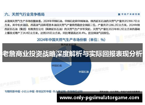 老詹商业投资战略深度解析与实际回报表现分析