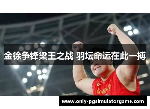 金徐争锋梁王之战 羽坛命运在此一搏